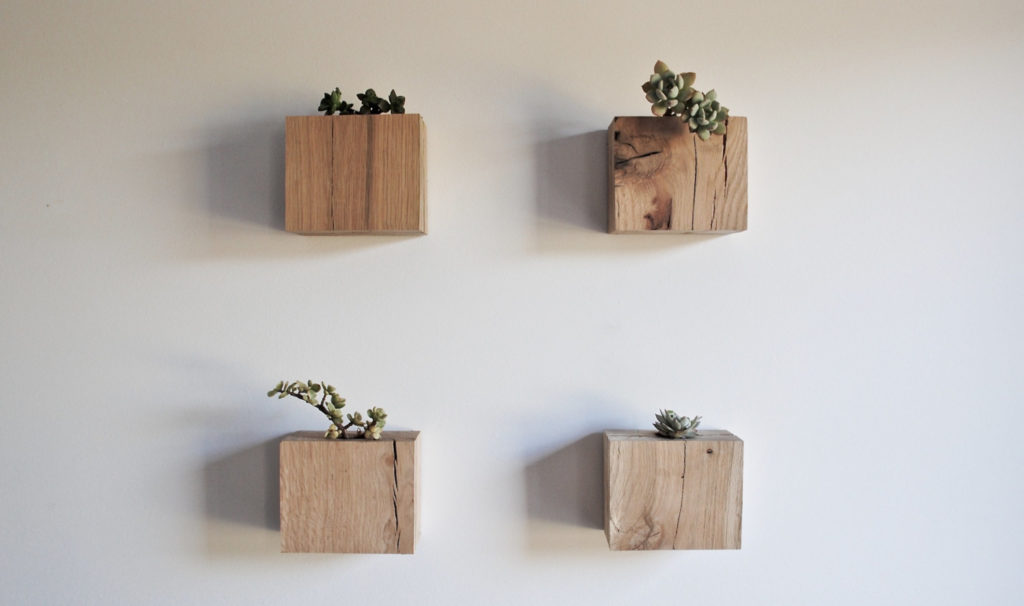 Salvaged Oak Succulent Cubes by RAKA Mod