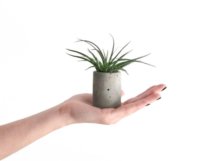 Mini Concrete Planter by Frae and Co